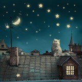 Wall Murals: Cat on the roof 3