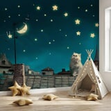 Wall Murals: Cat on the roof 4