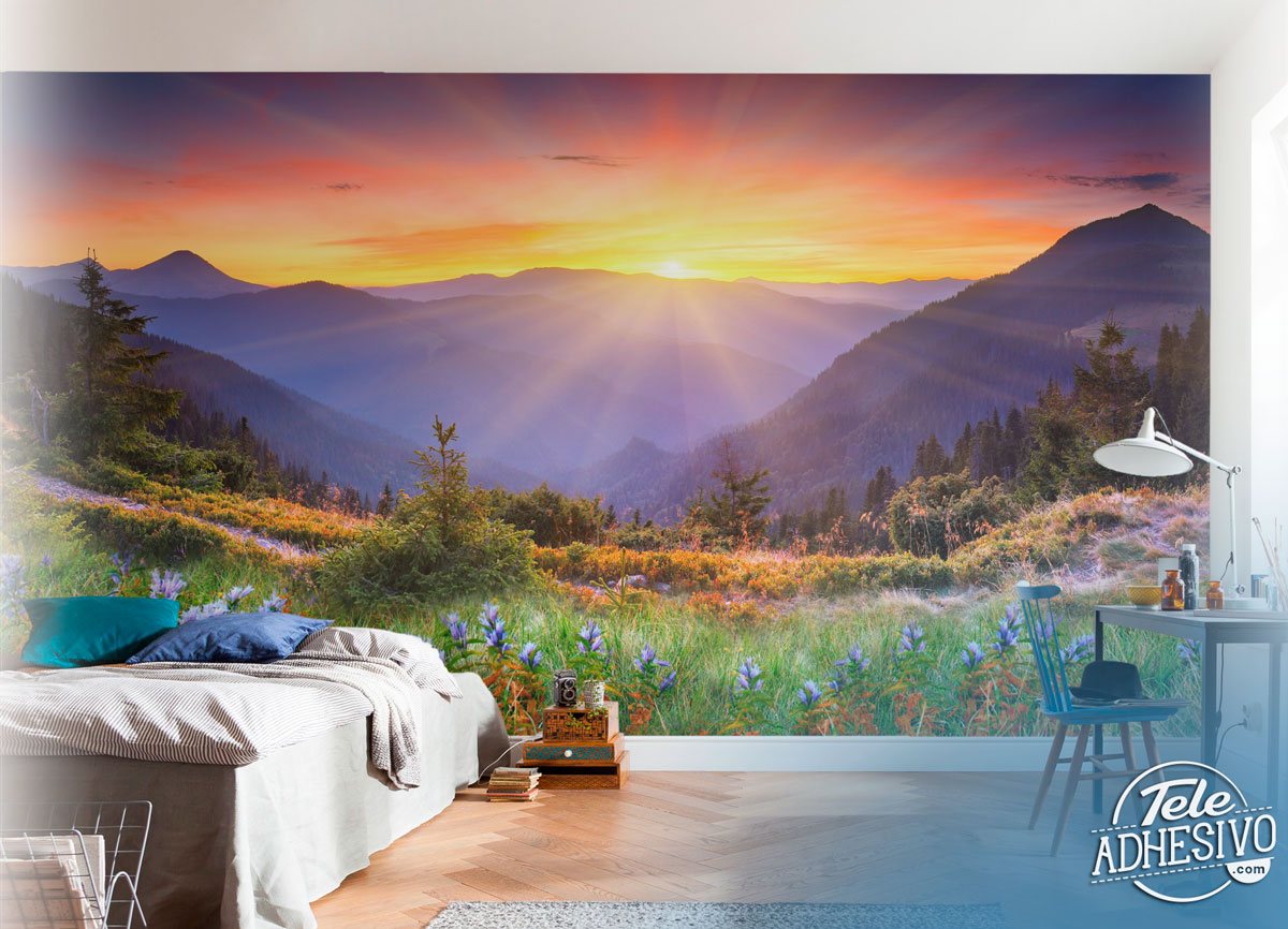 Wall Murals: Sunset Country