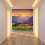 Wall Murals: Sunset Country 15