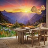 Wall Murals: Sunset Country 10