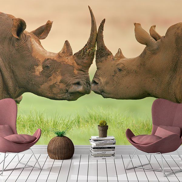 Wall Murals: Rhinoceroses 0