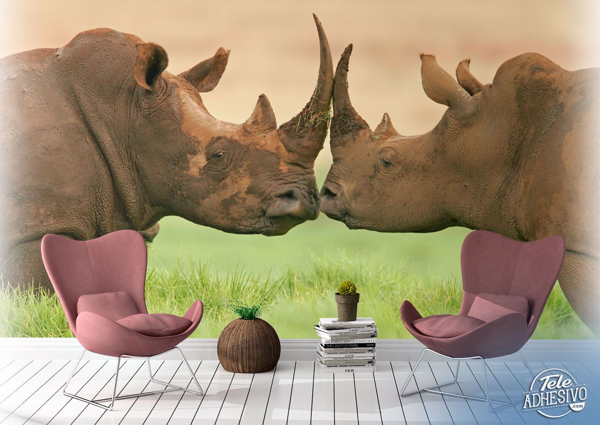 Wall Murals: Rhinoceroses