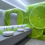 Wall Murals: Limes 20