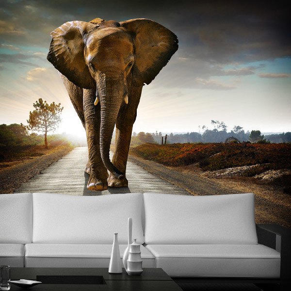 Wall Murals: Elephant 0