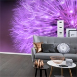 Wall Murals: Dandelion violet 2