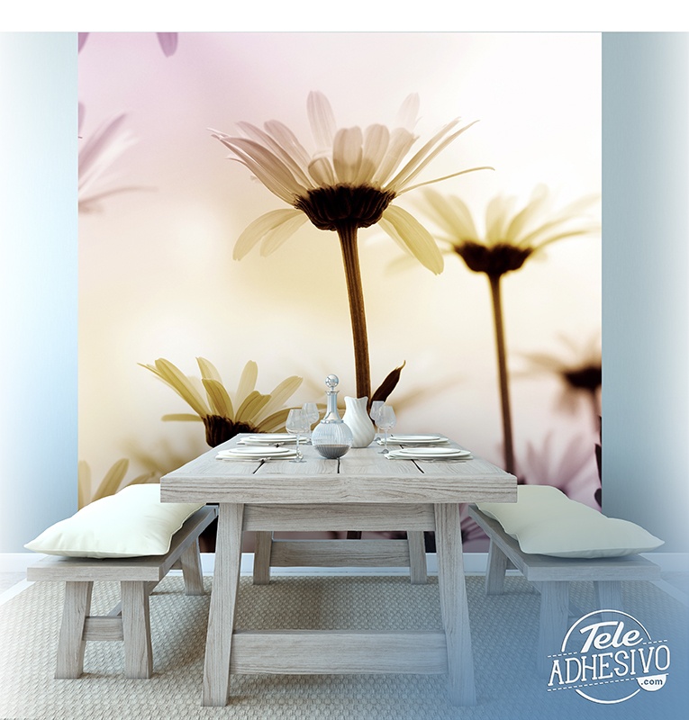 Wall Murals: Daisy Sunset