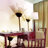 Wall Murals: Daisy Sunset 3