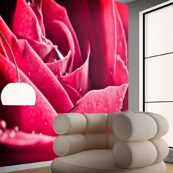 Wall Murals: Wet Petals