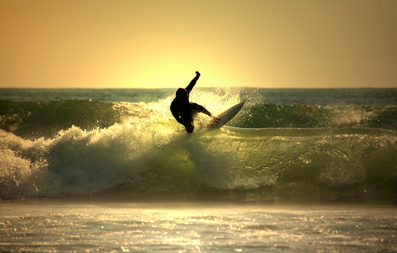 Wall Murals: Surfing