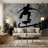 Wall Murals: Skate 13