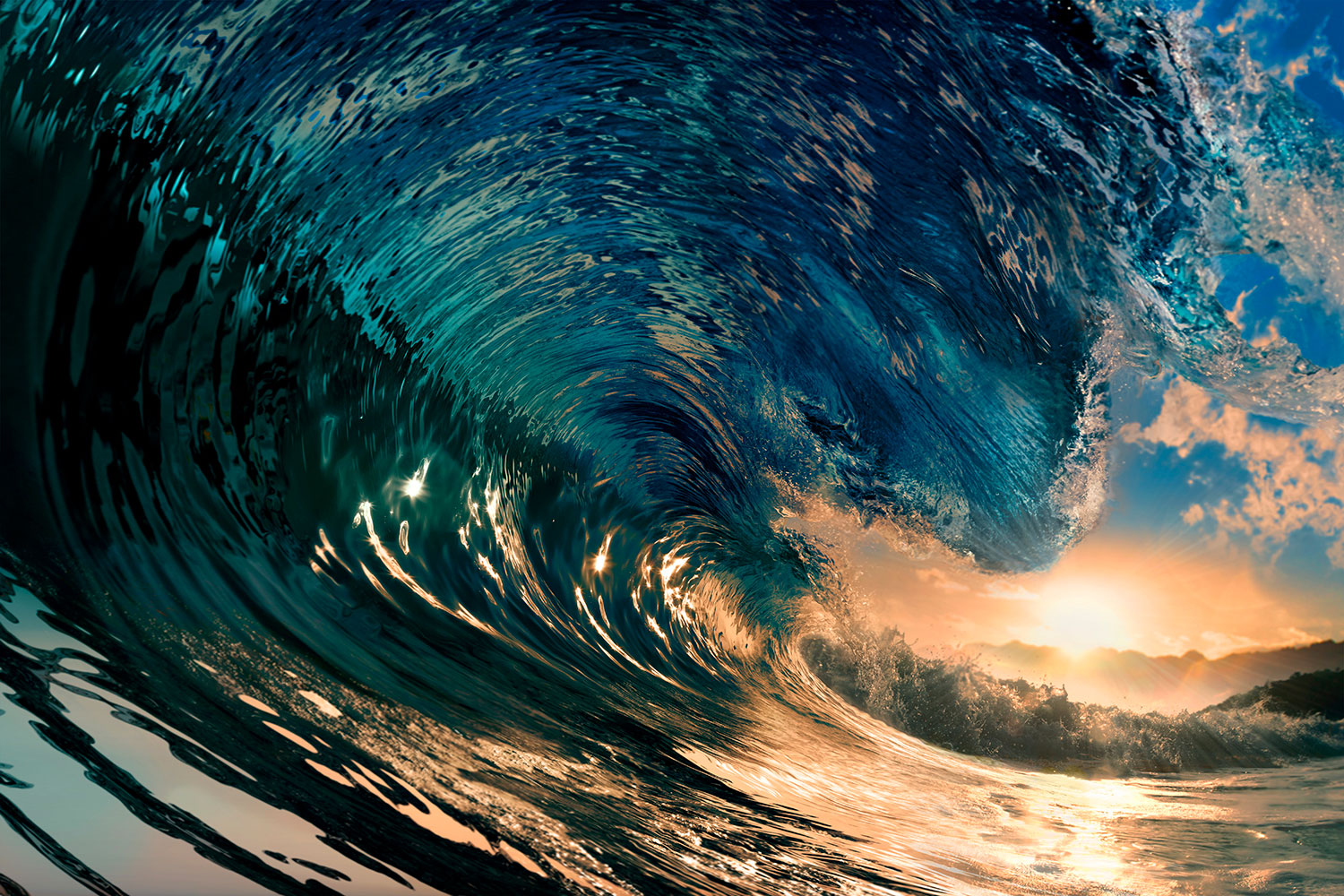 Wall Murals: Under the wave