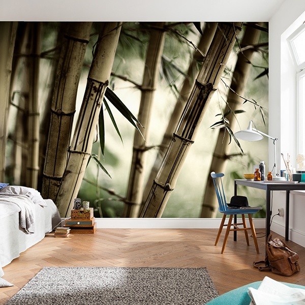 Wall Murals: Bamboo White