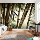 Wall Murals: Bamboo White 3