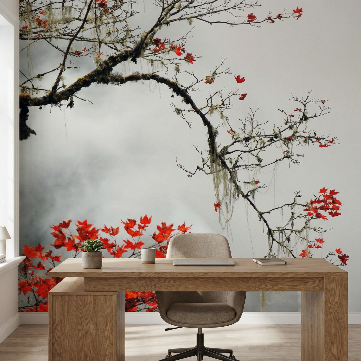 Wall Murals: Japanese Sakura