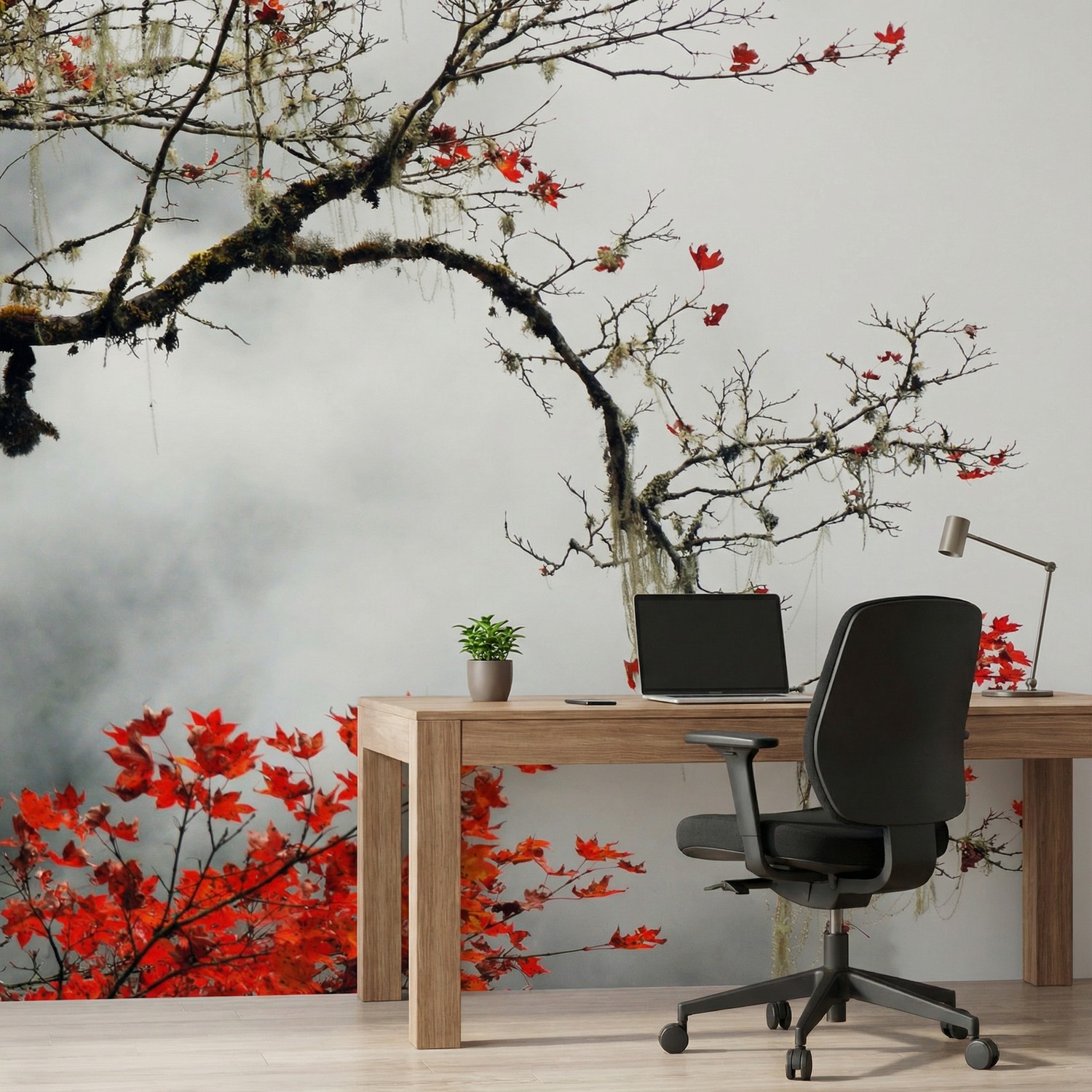 Wall Murals: Japanese Sakura
