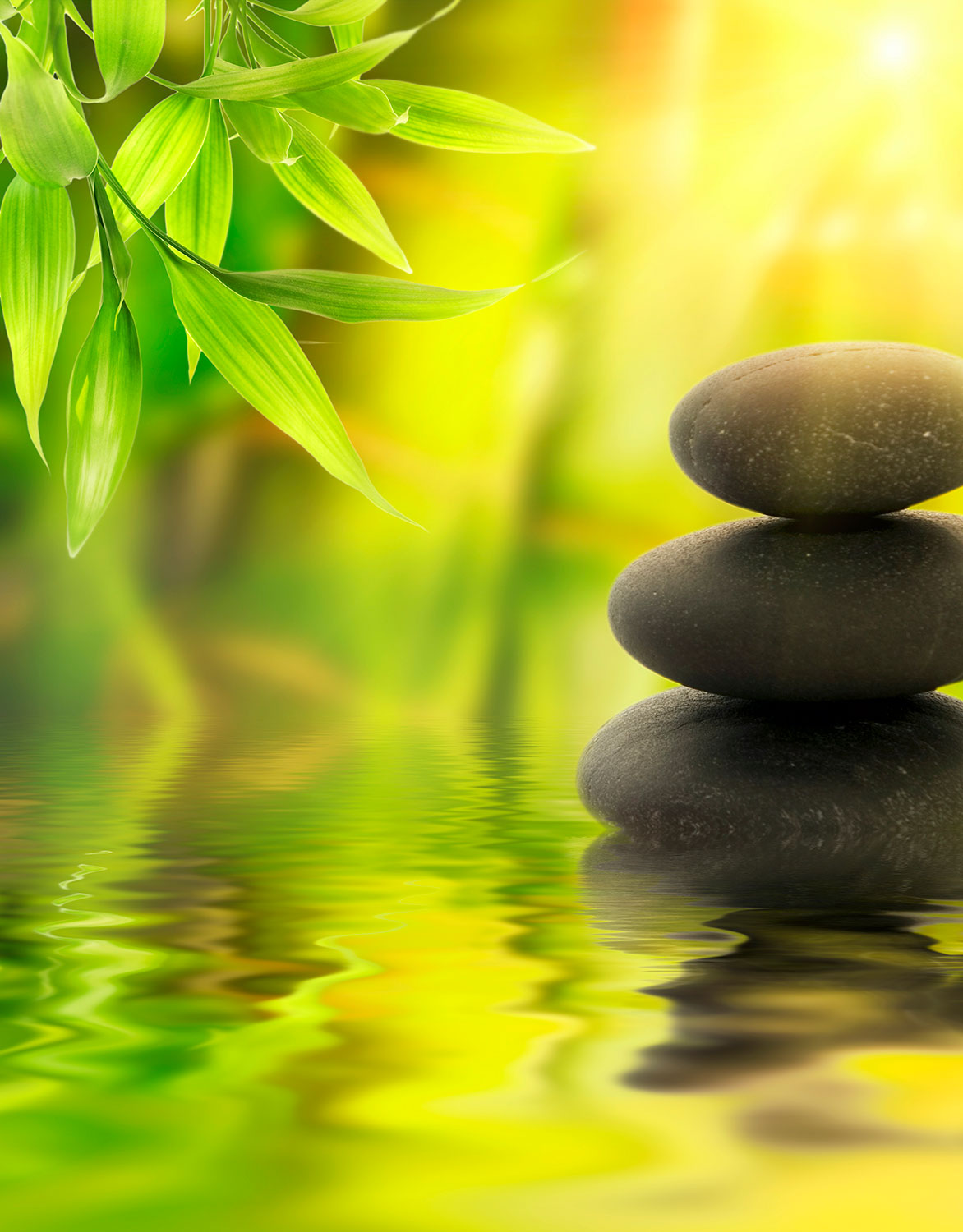 Wall Murals: River stones