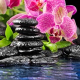 Wall Murals: Orchid and basalt 2