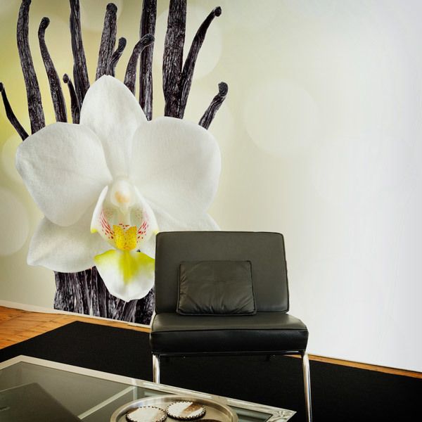 Wall Murals: White Orchid