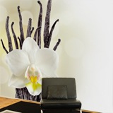 Wall Murals: White Orchid 3