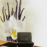Wall Murals: White Orchid 3