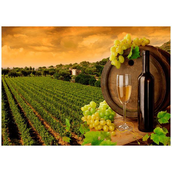 Wall Murals: Vineyards and bottles