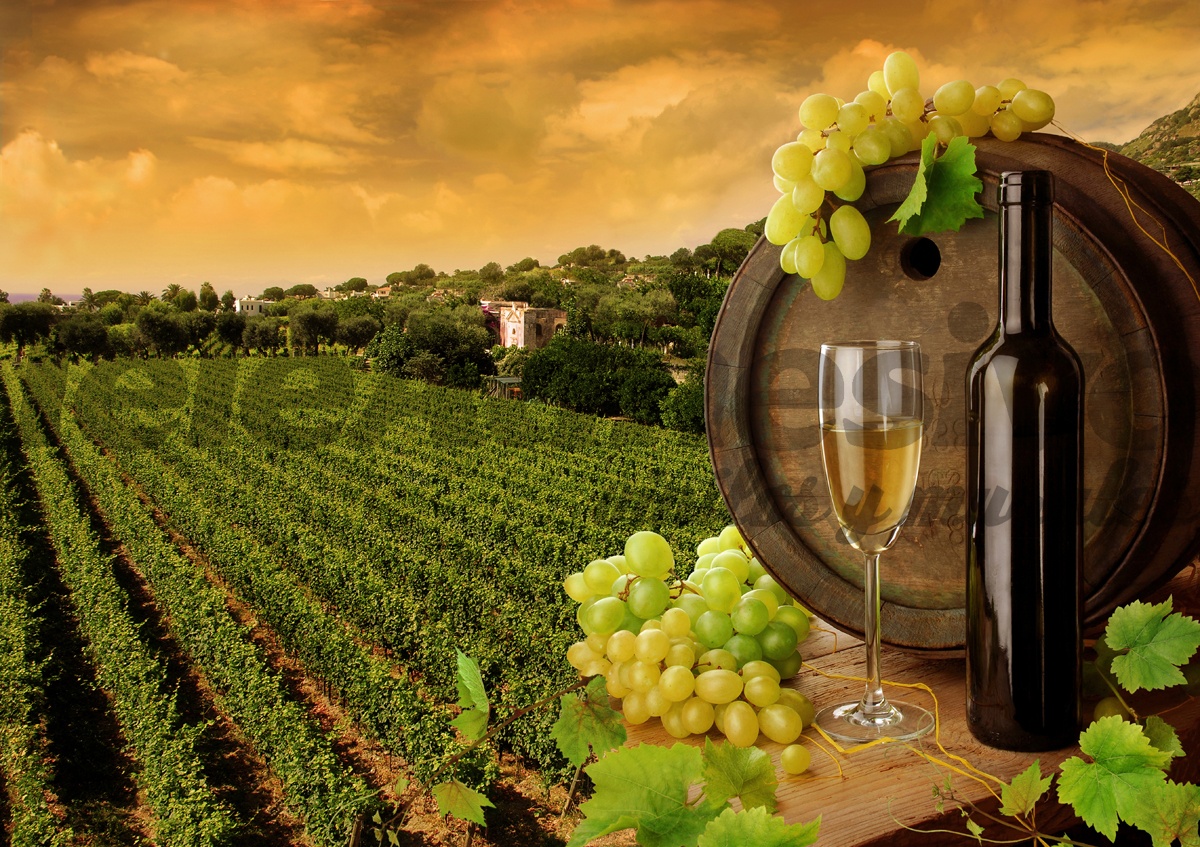 Wall Murals: Vineyards and bottles