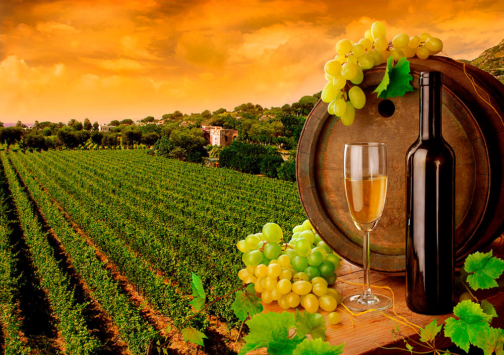 Wall Murals: Vineyards and bottles