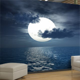 Wall Murals: Moon over the sea 4