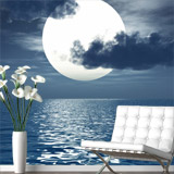 Wall Murals: Moon over the sea 5