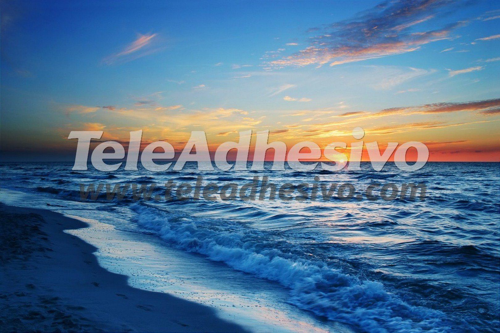 Wall Murals: Sunset on the shore