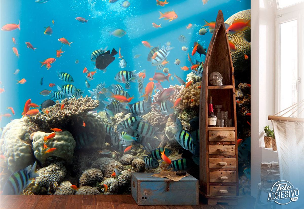Wall Murals: Reef fish