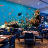 Wall Murals: Reef fish 11