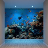 Wall Murals: Reef fish 12