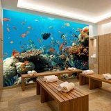 Wall Murals: Reef fish 14