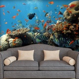 Wall Murals: Reef fish 3
