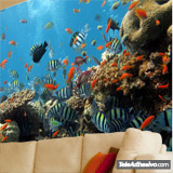 Wall Murals: Reef fish 4