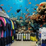 Wall Murals: Reef fish 9