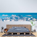 Wall Murals: Nevada Range 2