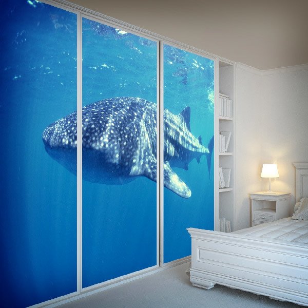 Wall Murals: Whale shark