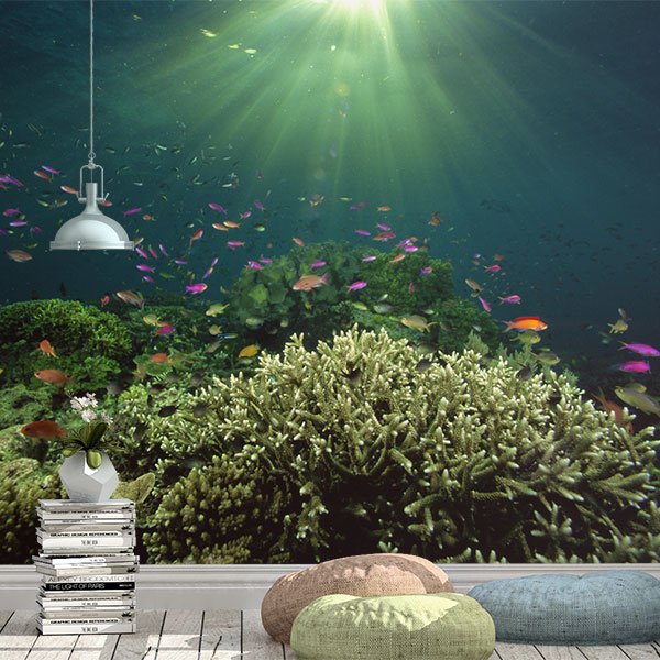 Wall Murals: Coral under the light