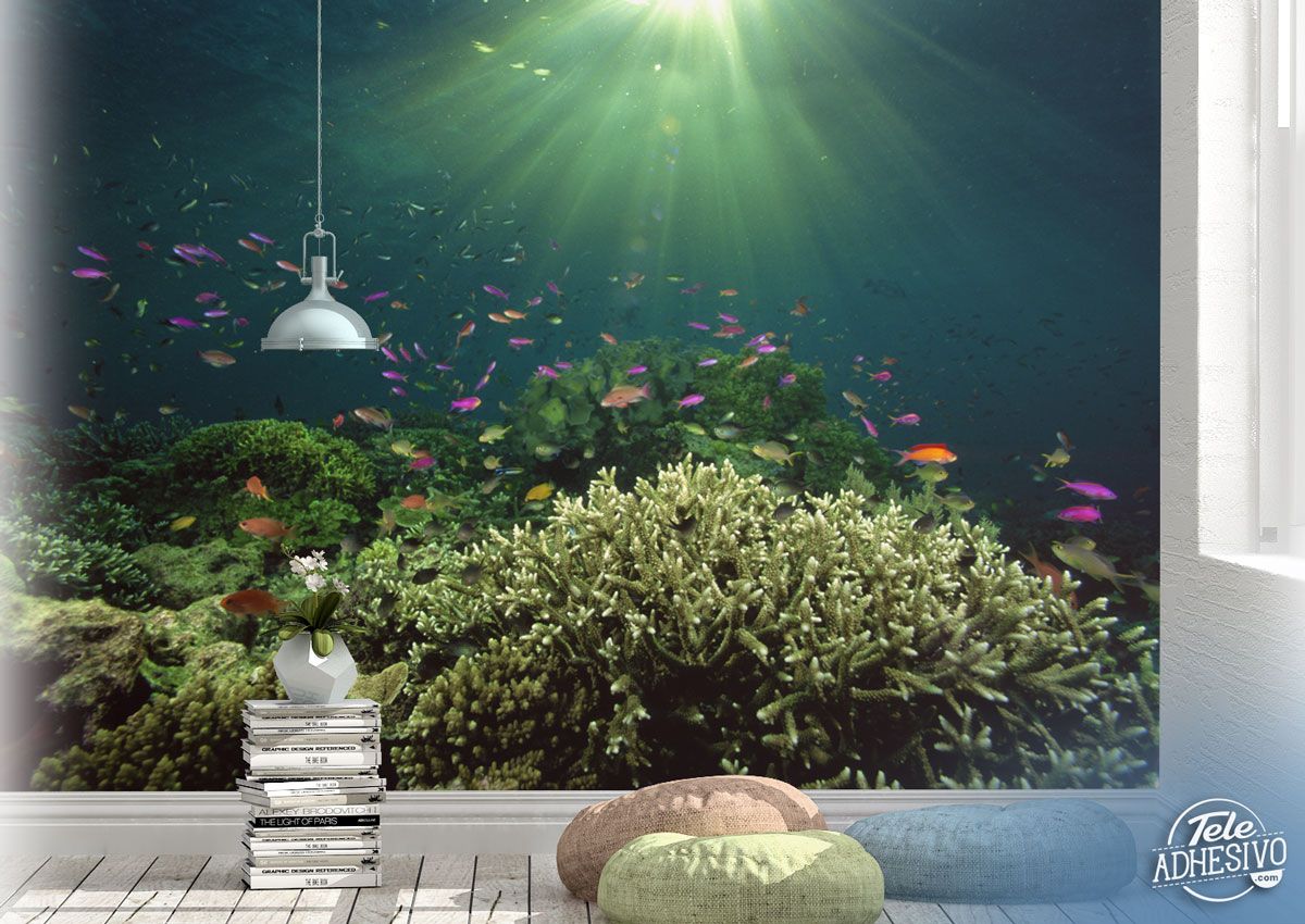 Wall Murals: Coral under the light