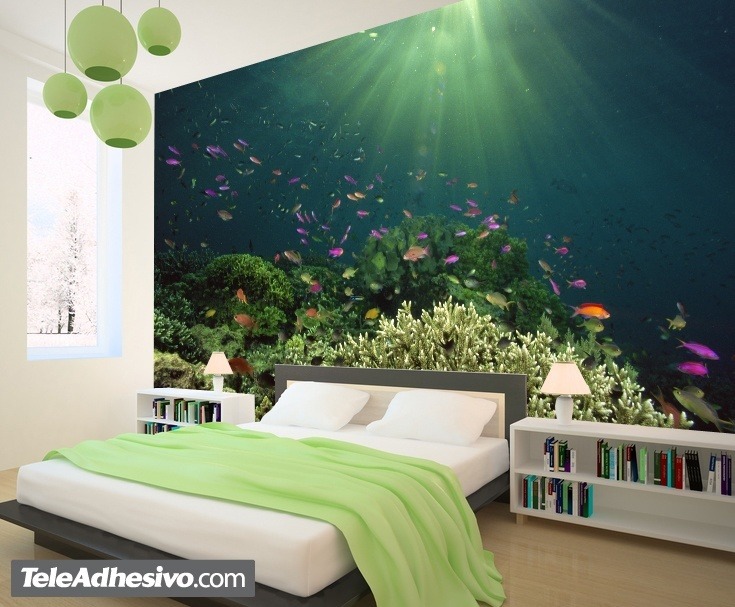 Wall Murals: Coral under the light