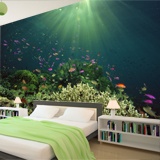 Wall Murals: Coral under the light 3
