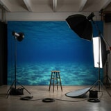 Wall Murals: Marine depths 15
