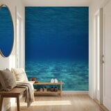Wall Murals: Marine depths 10