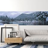 Wall Murals: Winter landscape 2