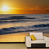 Wall Murals: Surf on the beach 2