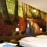 Wall Murals: River in the Aywaille forest 2