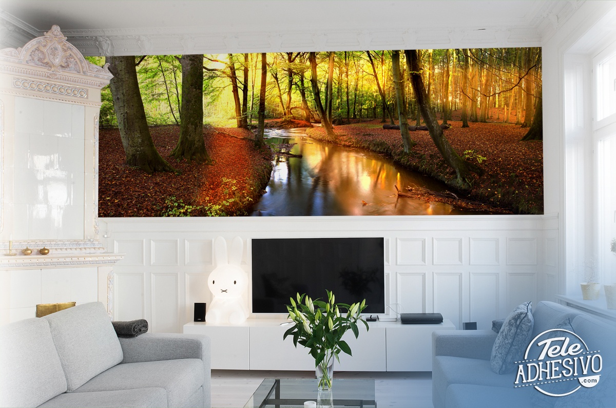 Wall Murals: River in the Aywaille forest